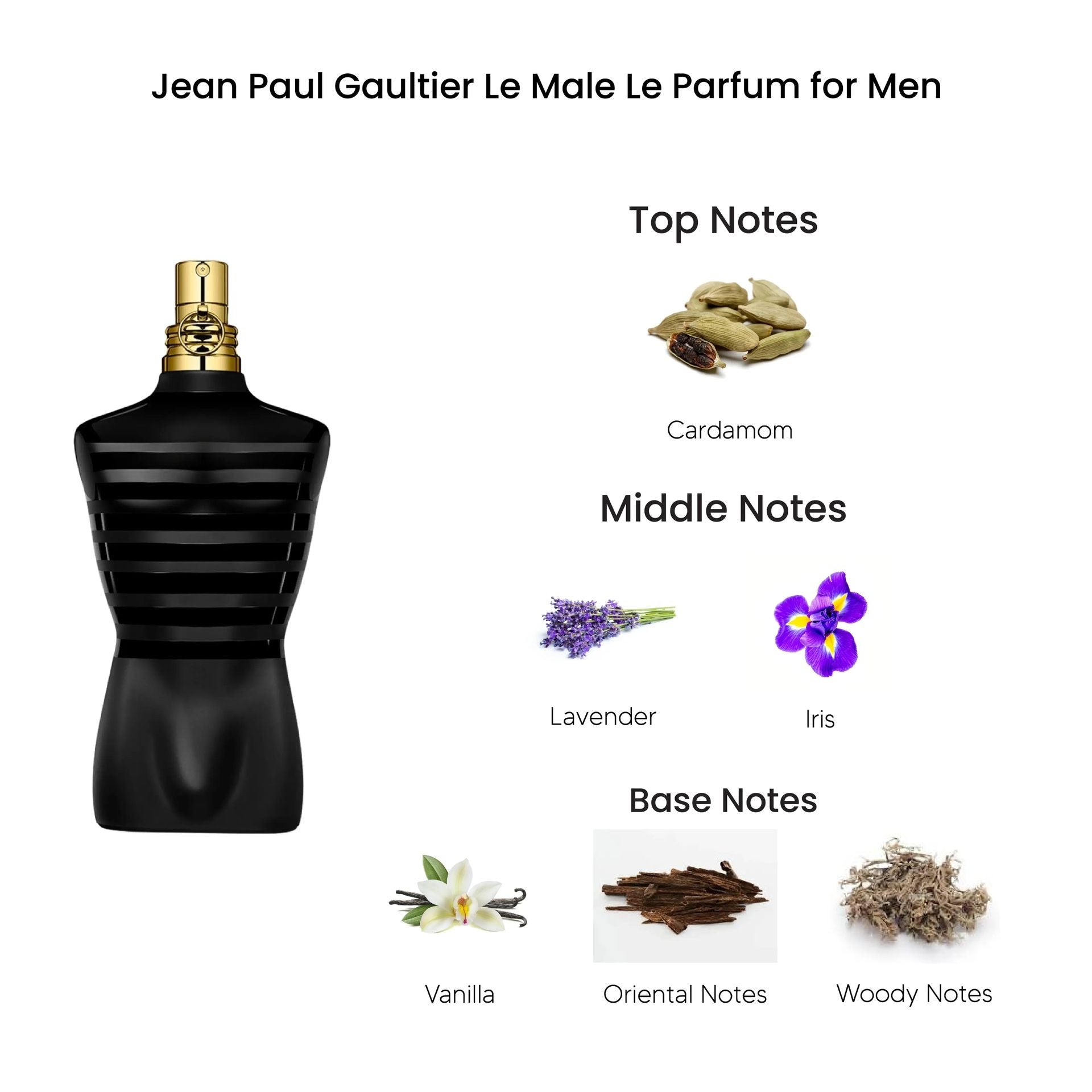 JPG Le Male Le Parfum 5mL Decant Sample Travel Spray