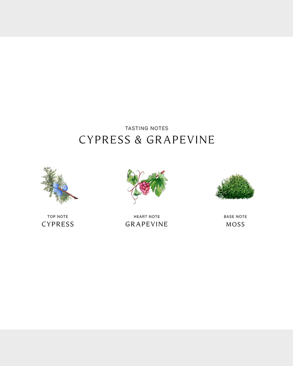 Jo Malone Cypress & Grapevine Cologne Intense